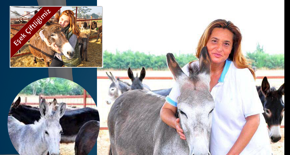 Eşek Sütü - Hemen Arayın 05075382712